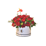 Imperial Scarlet Crown