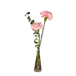 Blush Bloom - Weekly Subscription