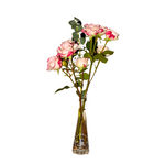 Blush Radiance - Weekly Subscription