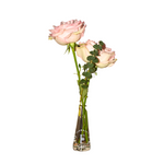 Petal Whisper - Weekly Subscription