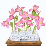 Table Top Charm by Florawy