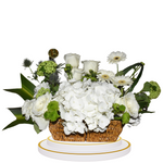 Whispers of White by Florawy