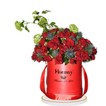 Red Velvet Bloomby Florawy