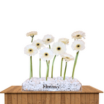 Pure Bliss Box by Florawy