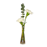 White Whisper – Tall Vase Weekly Subscription