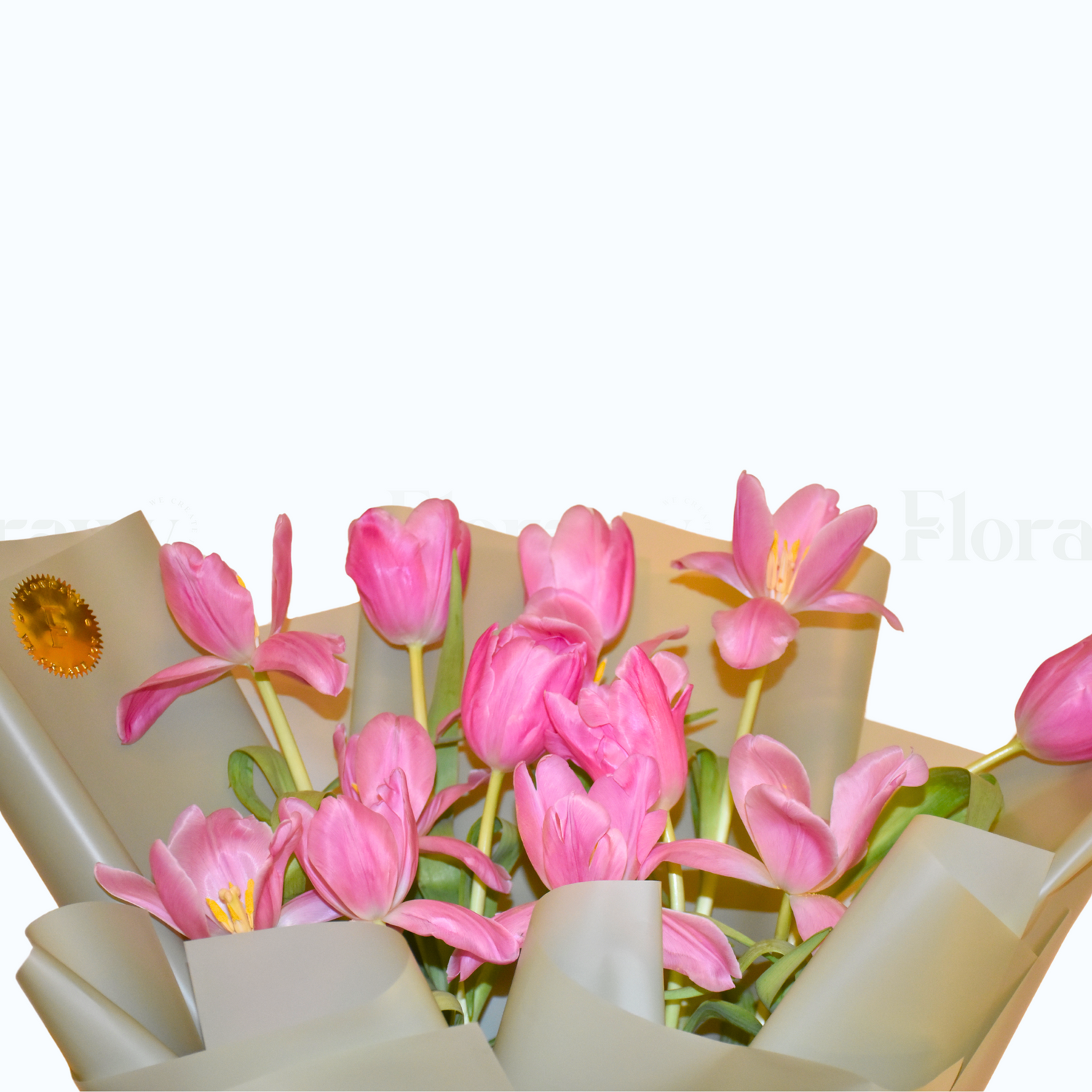 Tulip Whisper by Florawy