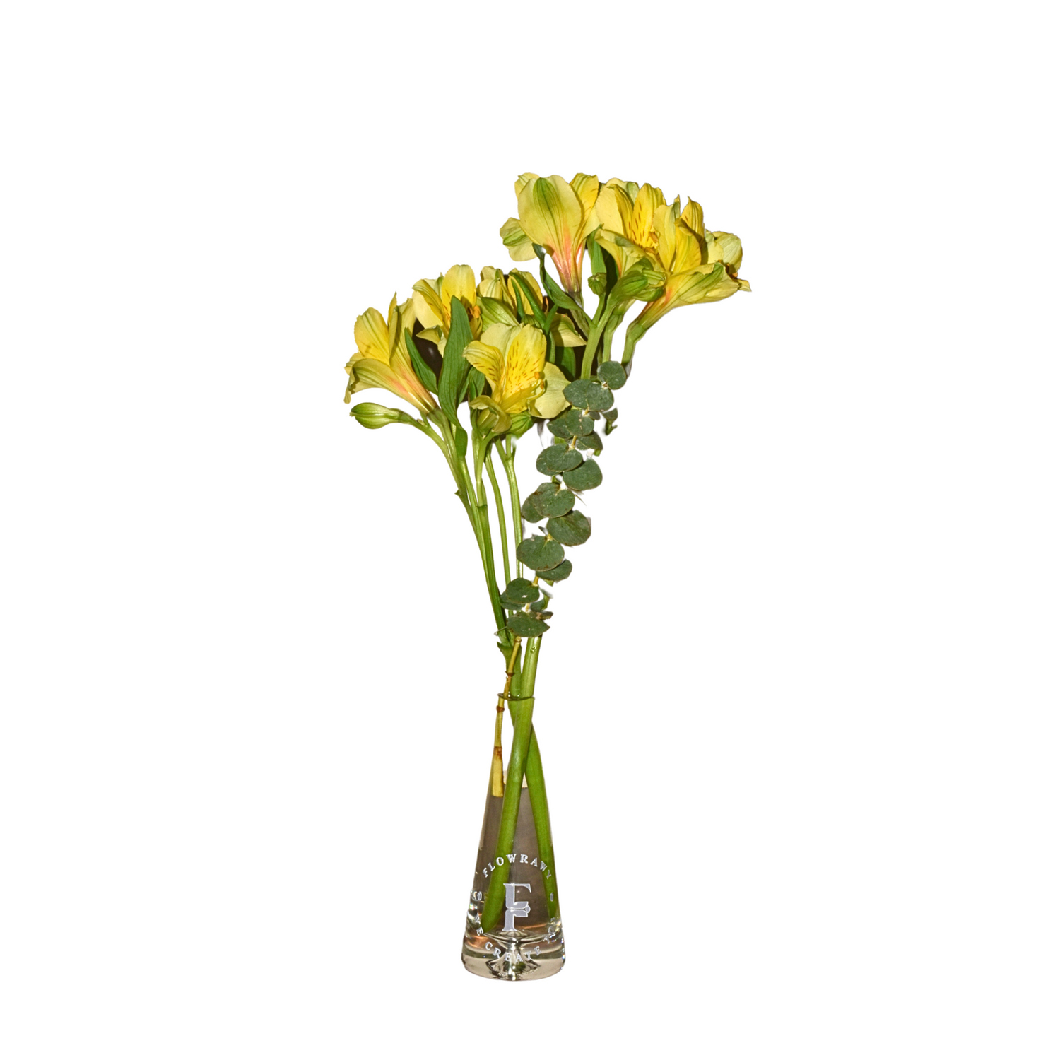 Golden Aura - Weekly Subscription